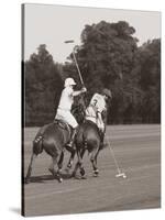 Polo In The Park II-Ben Wood-Stretched Canvas