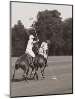 Polo In The Park II-Ben Wood-Mounted Art Print