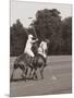 Polo In The Park II-Ben Wood-Mounted Premium Giclee Print