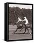 Polo In The Park III-Ben Wood-Framed Stretched Canvas