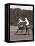 Polo In The Park III-Ben Wood-Framed Stretched Canvas