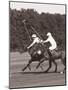 Polo In The Park III-Ben Wood-Mounted Premium Giclee Print