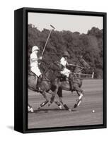 Polo In The Park IV-Ben Wood-Framed Stretched Canvas