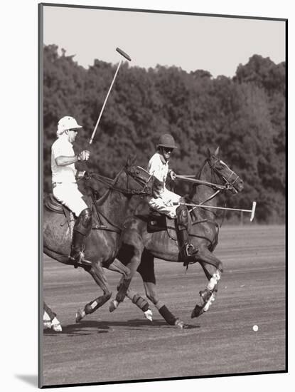Polo In The Park IV-Ben Wood-Mounted Art Print