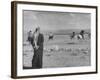 Polo Is Played on Amman Airport-null-Framed Photographic Print