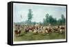 Polo Match at Hurlingham Between the Horse Guards (Blue) and the Monmouthshire Team, 7th July 1877-George Earl-Framed Stretched Canvas
