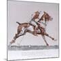 Wood Mount