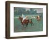 Polo Players, 1920 (Oil on Canvas)-Pierre Georges Jeanniot-Framed Giclee Print