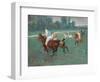 Polo Players, 1920 (Oil on Canvas)-Pierre Georges Jeanniot-Framed Giclee Print