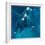 Polo Players - Blue-Neil Helyard-Framed Giclee Print