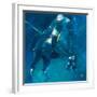 Polo Players - Blue-Neil Helyard-Framed Giclee Print