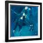 Polo Players - Blue-Neil Helyard-Framed Giclee Print