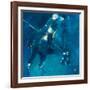 Polo Players - Blue-Neil Helyard-Framed Giclee Print