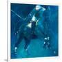 Polo Players - Blue-Neil Helyard-Framed Giclee Print