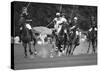 Polo players, New York-null-Stretched Canvas