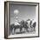 Polo Players Preparing for a Game at the Canlubang Country Club-Carl Mydans-Framed Photographic Print