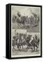 Polo Playing-Richard Caton Woodville II-Framed Stretched Canvas