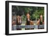 Polo Ponies 004-Bob Langrish-Framed Photographic Print