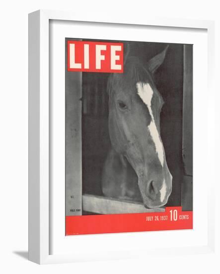 Polo Pony at Bostwick Field on Long Island, July 26, 1937-Alfred Eisenstaedt-Framed Photographic Print