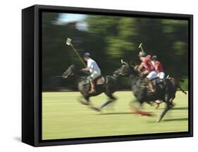Polo-null-Framed Stretched Canvas