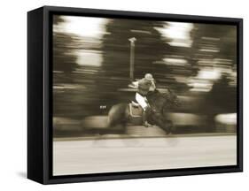 Polo-null-Framed Stretched Canvas