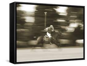 Polo-null-Framed Stretched Canvas