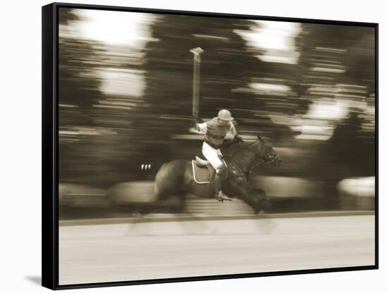 Polo-null-Framed Stretched Canvas