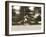 Polo-null-Framed Premium Photographic Print