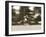 Polo-null-Framed Premium Photographic Print