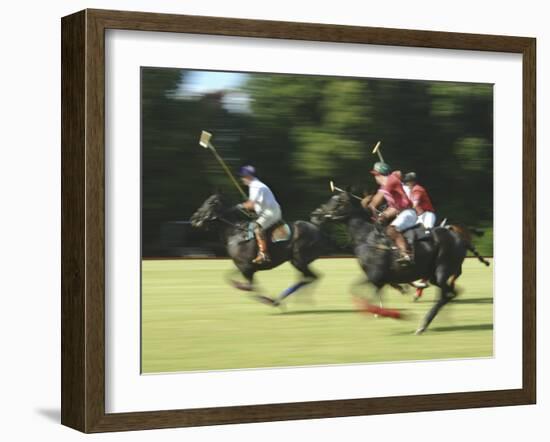 Polo-null-Framed Photographic Print