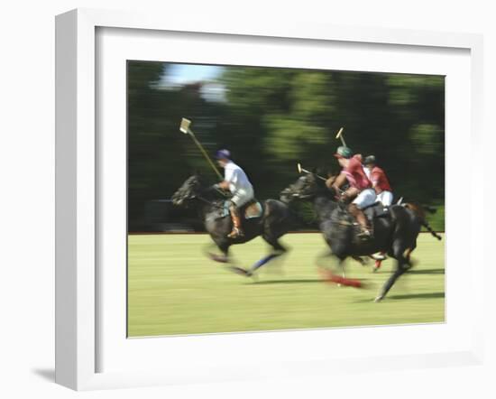 Polo-null-Framed Photographic Print