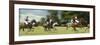 Polo-null-Framed Photographic Print