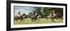 Polo-null-Framed Photographic Print