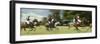 Polo-null-Framed Photographic Print