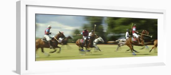 Polo-null-Framed Photographic Print