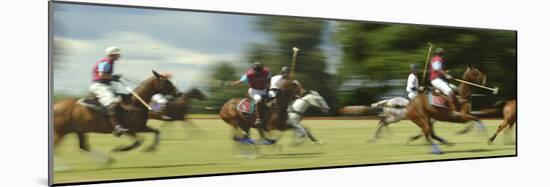 Polo-null-Mounted Photographic Print