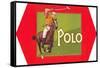 Polo-null-Framed Stretched Canvas