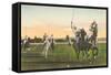 Polo-null-Framed Stretched Canvas