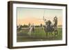 Polo-null-Framed Art Print