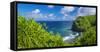 Pololu Valley and beach through hala trees, North Kohala, The Big Island, Hawaii, USA-Russ Bishop-Framed Stretched Canvas