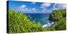 Pololu Valley and beach through hala trees, North Kohala, The Big Island, Hawaii, USA-Russ Bishop-Stretched Canvas