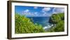 Pololu Valley and beach through hala trees, North Kohala, The Big Island, Hawaii, USA-Russ Bishop-Framed Photographic Print