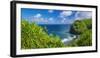 Pololu Valley and beach through hala trees, North Kohala, The Big Island, Hawaii, USA-Russ Bishop-Framed Photographic Print