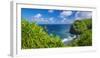 Pololu Valley and beach through hala trees, North Kohala, The Big Island, Hawaii, USA-Russ Bishop-Framed Photographic Print