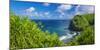 Pololu Valley and beach through hala trees, North Kohala, The Big Island, Hawaii, USA-Russ Bishop-Mounted Photographic Print