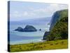 Pololu Valley, Kapaau Coast, Big Island, Hawaii, United States of America, Pacific, North America-Michael DeFreitas-Stretched Canvas