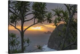 Pololu Valley Overlook at Sunrise, Hamakua Coast, Big Island, Hawaii-Maresa Pryor-Stretched Canvas