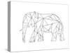 Poly Elephant-Pam Varacek-Stretched Canvas