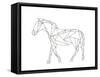 Poly Horse-Pam Varacek-Framed Stretched Canvas