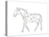 Poly Horse-Pam Varacek-Stretched Canvas